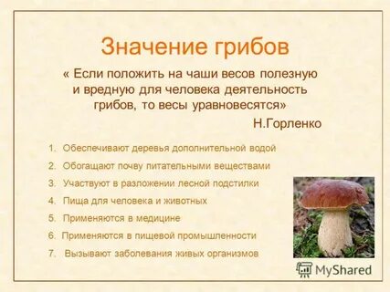 Грибы 5 класс рабочая тетрадь