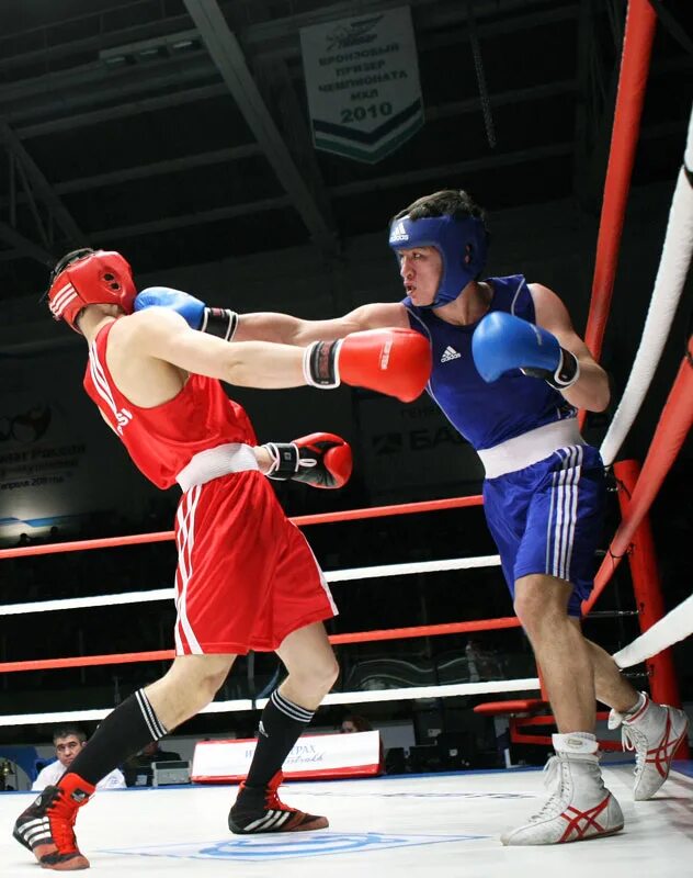 Boxing network. Бокс вид спорта. Box logo png. Network box. Boxing network.