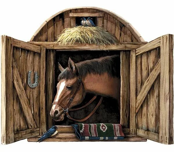 Stable animation