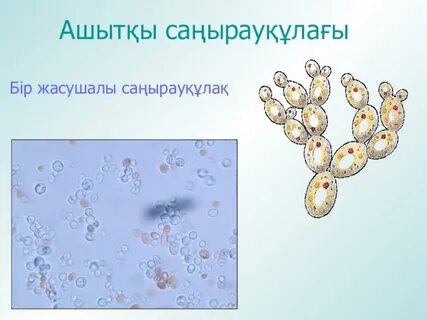 Порно фотосуреттер ресейлік жеке секс әйелі