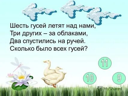 Сколько летело гусей