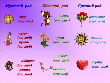 4 слова среднего рода