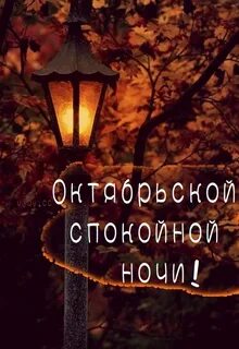 Доброй ноябрьской ночи