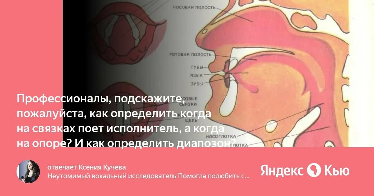 Пою на связках. Как петь на ложных связках. Как понять что поешь на связках.