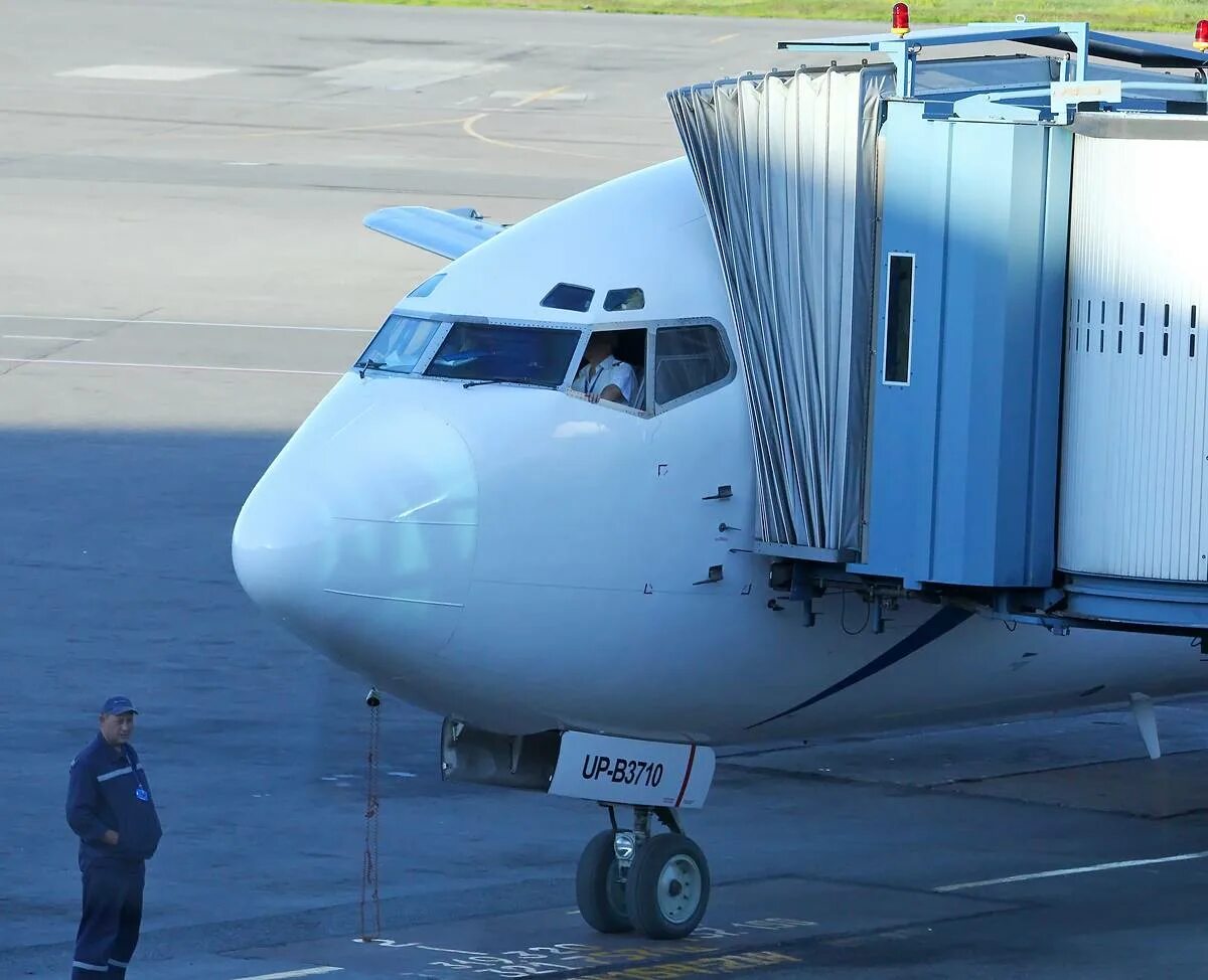 Боинг 737 Скат. Скат авиакомпания Сытник. Скат авиакомпания Казахстан. Авиакомпания scat Airlines. Scat авиакомпания сайт