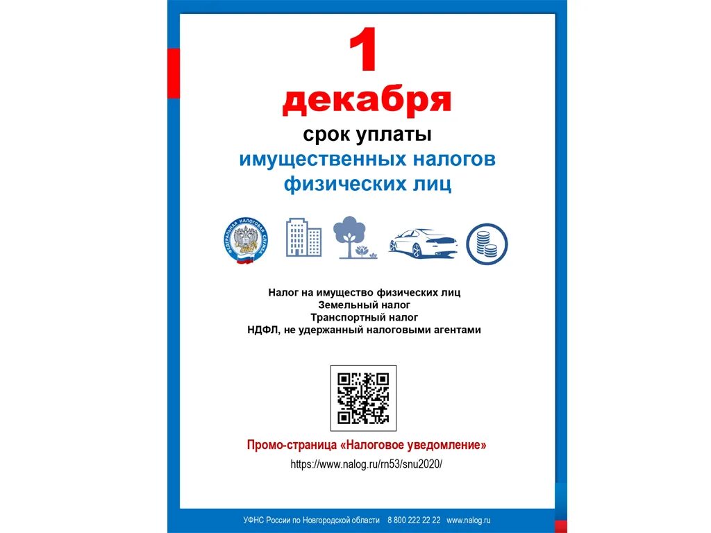 Налоги новгородская область. Срок уплаты налогов - не позднее 1 декабря!. Сроки уплаты налогов для физических лиц. 1 Декабря срок уплаты имущественных налогов. Срок уплаты налогов в 2022 году для физических лиц.