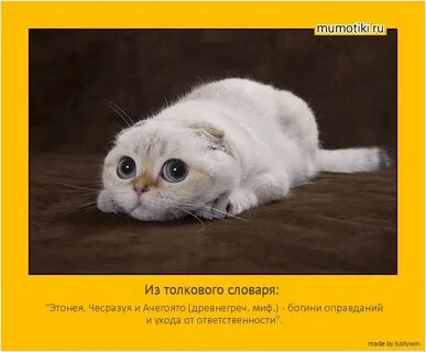 Совсем ничего