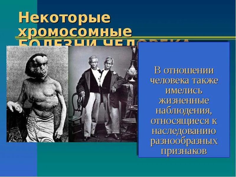 Современные достижения в изучении наследственности 9 класс. Преподаватель биологии Пичугина. Воспитание и генетика человека в процентном отношении. Из чего складывается генетика человека.