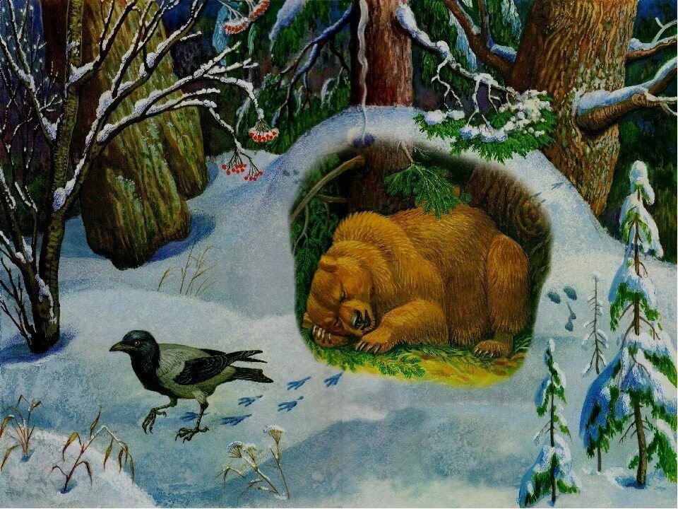 Н и сладков жизнь животных весной. Зимний лес Берлога медведя. Берлога медведя зимой в лесу. Картина медвежья Берлога Николаева. Жизнь животных зимой.