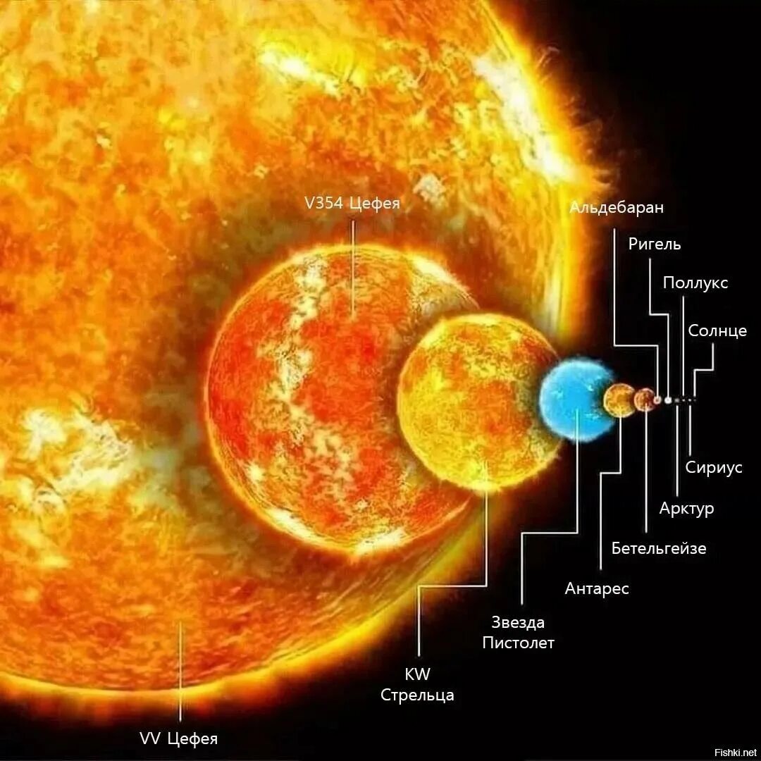 Звезда в 2 раза больше солнца. Размер звезды VV Цефея. Самая большая известная звезда во Вселенной. Самая большая звезда во Вселенной размер. Размер звезд во Вселенной.