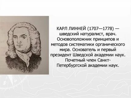 Основоположник современной систематики 6 букв