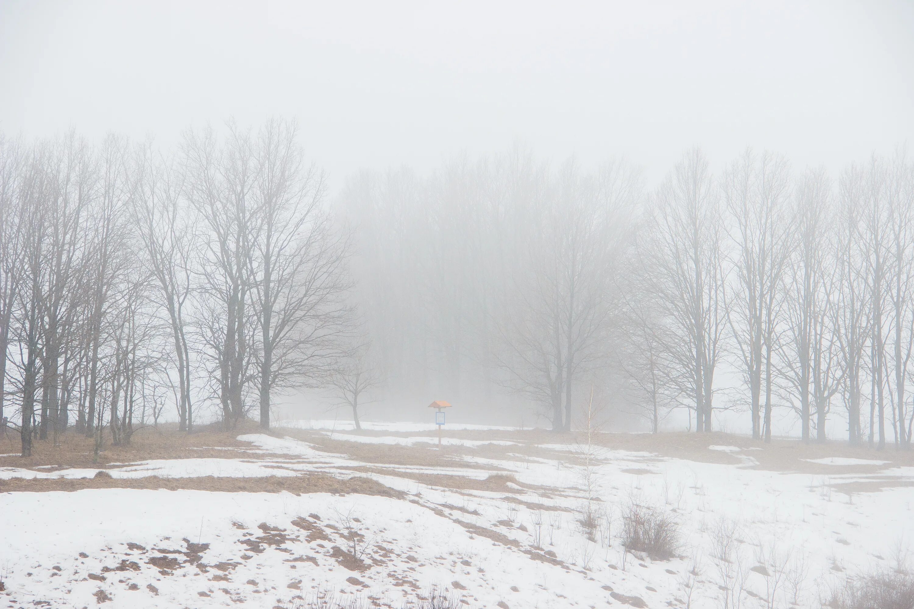 Зима снег туман. Метель 1080. Туман в снегу. Сугроб сугробы туман
