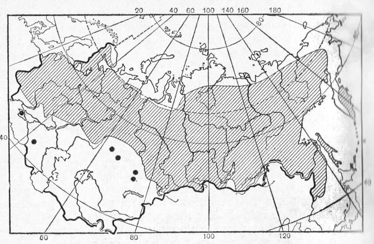 Популяцилгная стрцкьура втда. Ареал белок. Ареал распространения медведей. Ареал обитания белки в россии на карте. Ареал обитания белок на карте.
