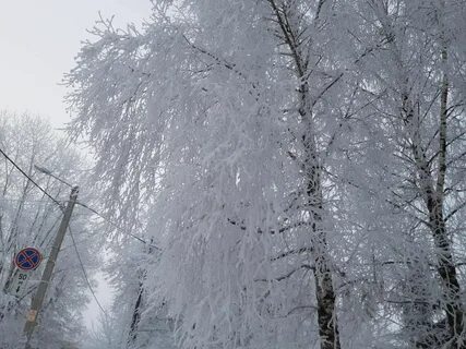 Покрылись снегом