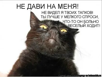 Не давило