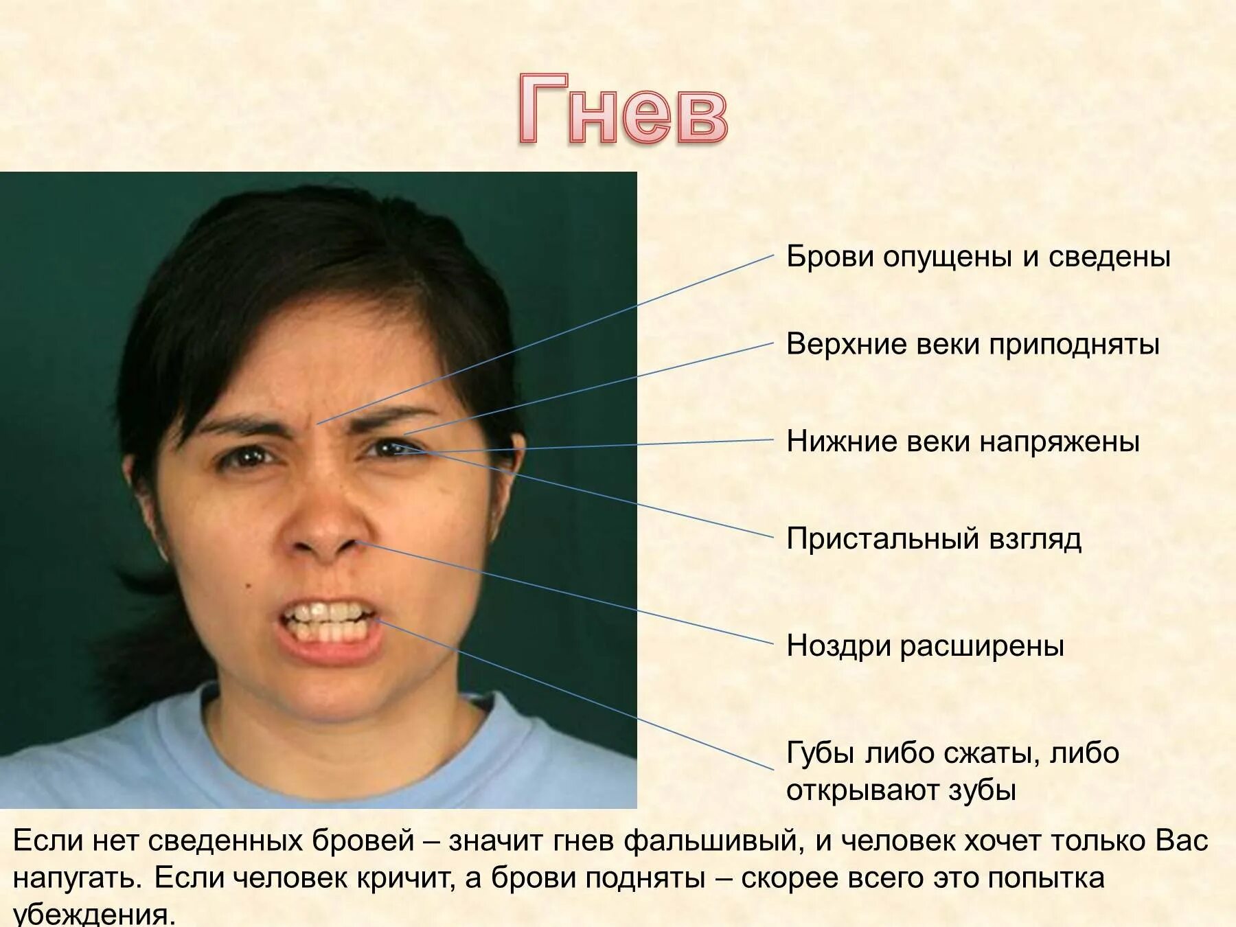 Век гнева. Мимика лица. признаки злости мимика. мимика человека в гневе. мимическое проявление эмоций гнев.