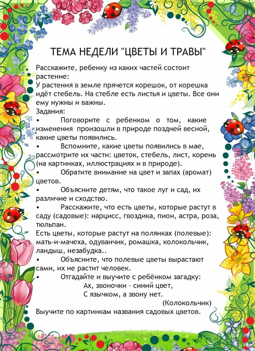 папка год семьи 2024