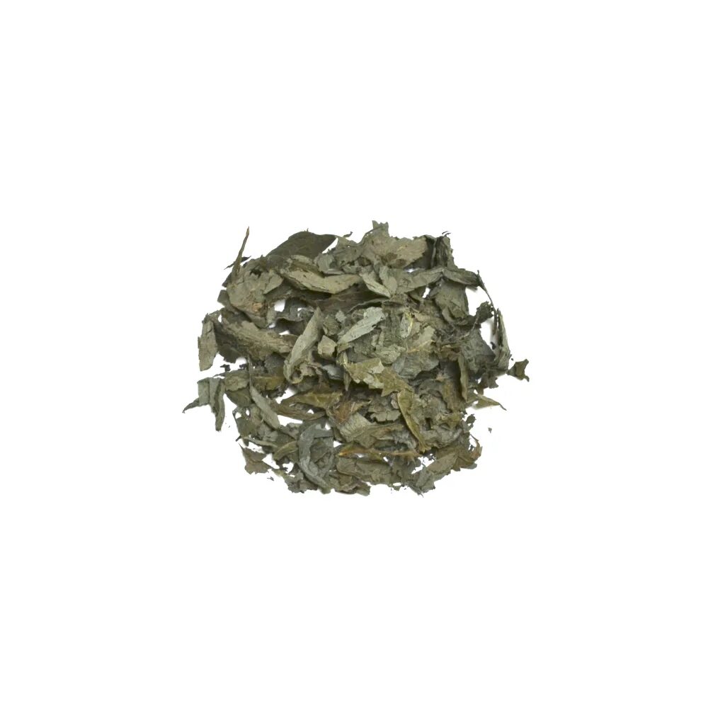 Salvia extract. Сальвия дивинорум. шалфей дивинорум. salvia divinorum семена. сальвия дивинорум семена.