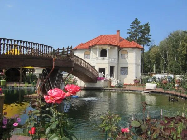 Данки дома. Баскетбол леброн джеймс. Леброн джеймс баскетболист данк. Nike jordan sb dunk low. Слэм-данк в баскетболе.