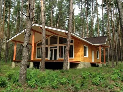 Дачный массив лесное лесное