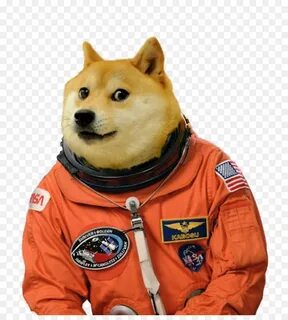 Доги мем