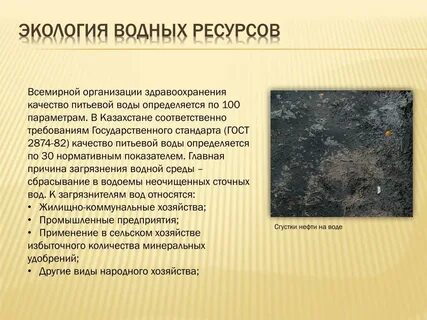Проблемы казахстана