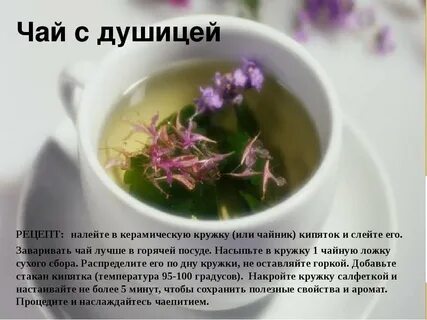 Душица чай польза