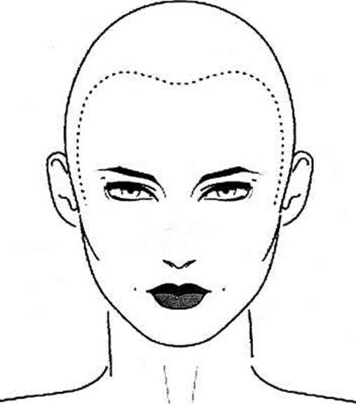 Болванка головы для рисования. Макет головы для парикмахера. Схема голов. Схема головы для парикмахеров. Схема рисования головы.