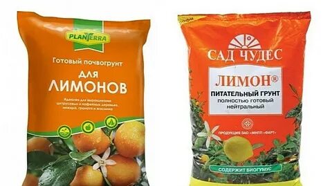 Грунт для лимона