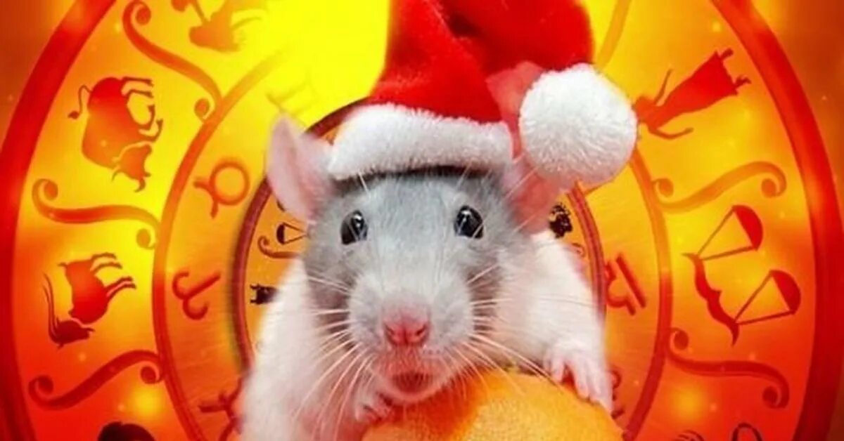 Восточный гороскоп крыса. Год мыши 2020. Символ крысы. Крыса знак восточного гороскопа. Знаки зодиака год крысы.