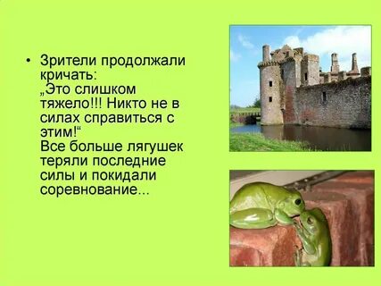 Притча о лягушке