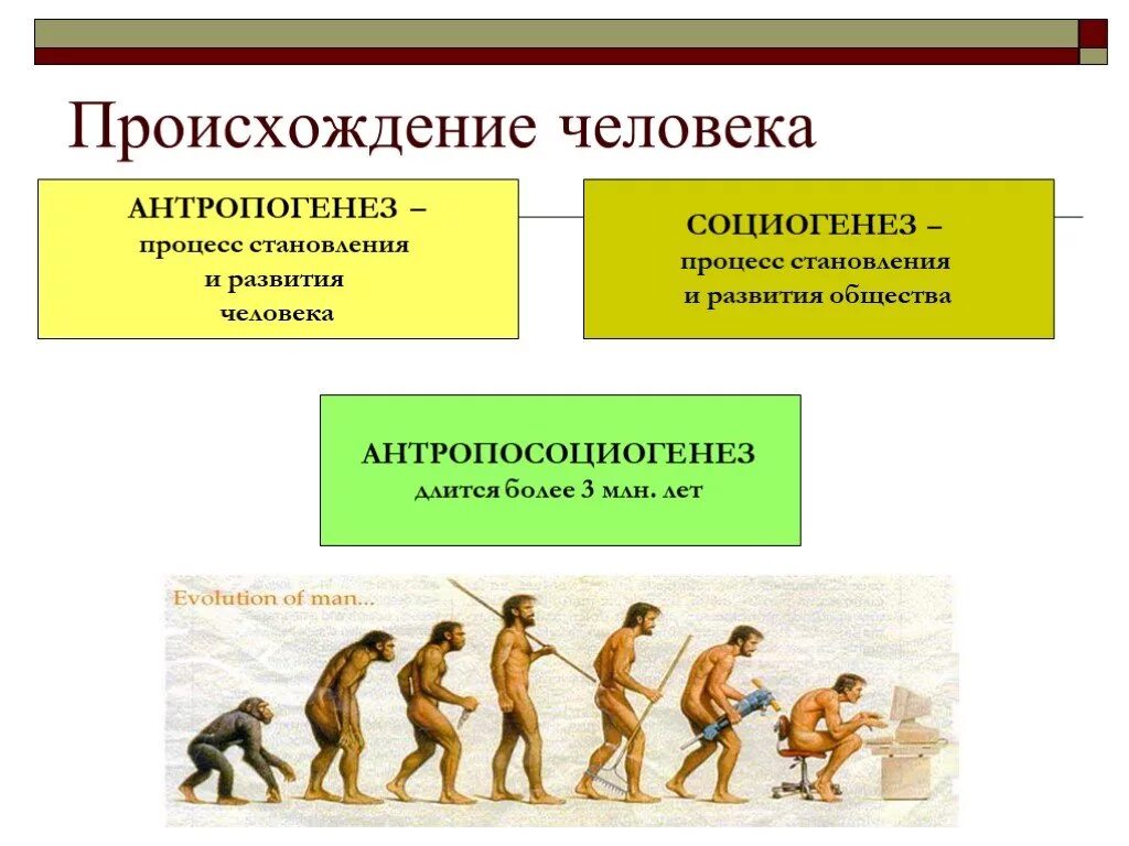 Конспект урока становление человека. Происхождение человека. Процесс становления человека. Эволюция человеческого общества. Антропогенез это процесс.