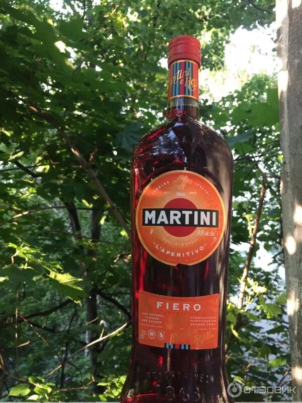 Бутылка мартини Фиерро. Мартини грейпфрутовый бутылка. Мартини Фиеро грейпфрут. Мартини Фиеро оранжевый