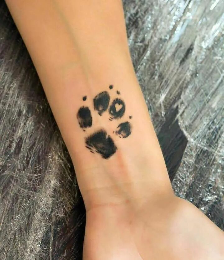 Кошачья лапа тату. Кошачья лапа тату. Кошачья лапа тату. Кошачья лапа тату. Мини тату лапка.