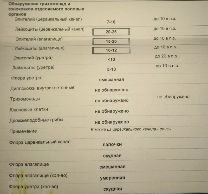 Исследование на гонококки и трихомонады анализ. Микроскопическое исследование отделяемого половых органов. Исследование на гонококки и трихомонады. Анализ выделений. Какие половые анализы сдают мужчины