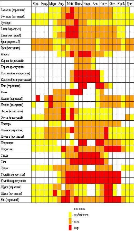 Клев по месяцам. Календарь рыбалки. Календарь клева. Рыбный календарь клева. Таблица активности рыбы по месяцам.