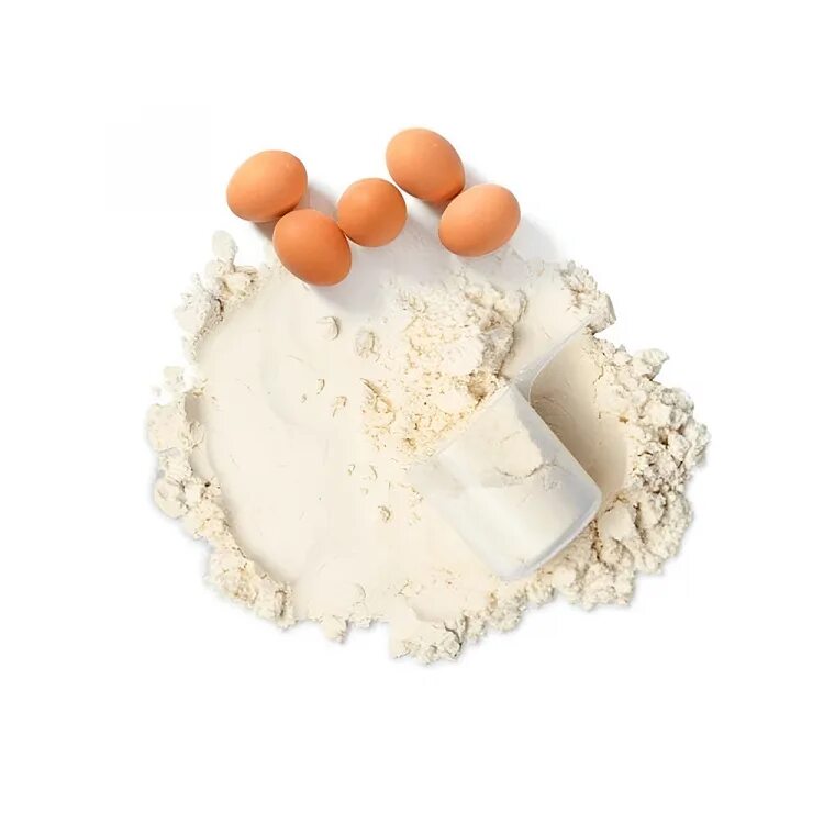 Белок яйца купить. Альбумин сухой белок. Альбумин яичный белок. Альбумин сухой яичный. Альбумин порошок.