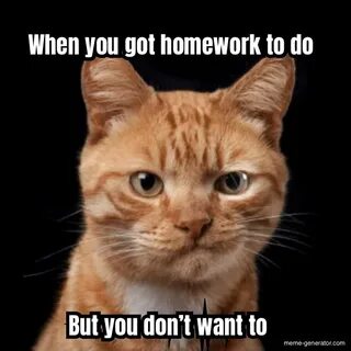 Do you get homework