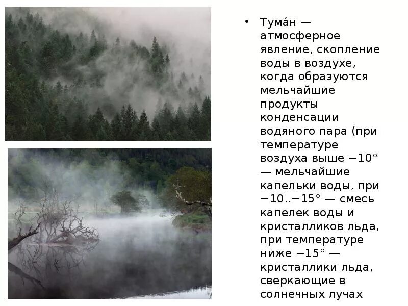 Определение слова туман. Туман атмосферное явление. Причины возникновения тумана. Туман явление природы. Причины образования тумана.