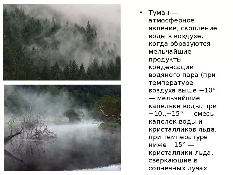 Скопление воды в атмосфере. Туман атмосферное явление. Причины возникновения тумана. Туман явление природы. Причины образования тумана.