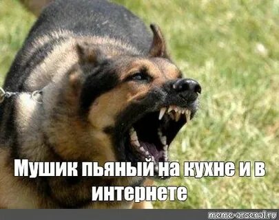 Дайте посмеяться