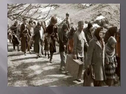 Причина депортации чеченцев и ингушей в 1944