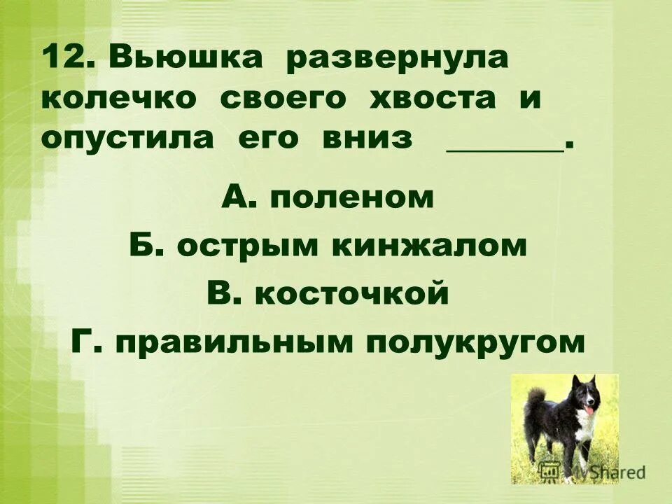 Урок литературного чтения 4 класс выскочка