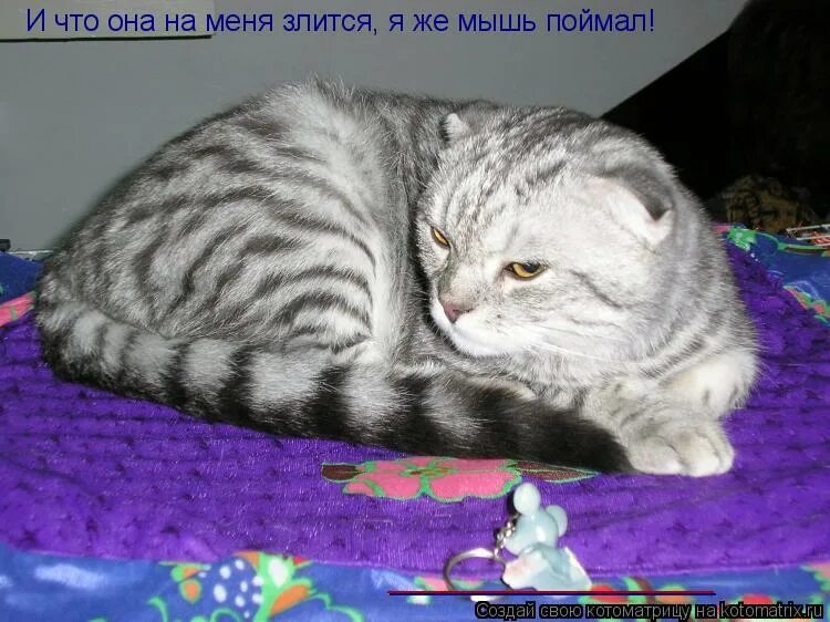 А что ты не в настроении. Я не в настроении. я сегодня не в настроении. я сейчас не в настроении. настроение поглажена против шерсти.