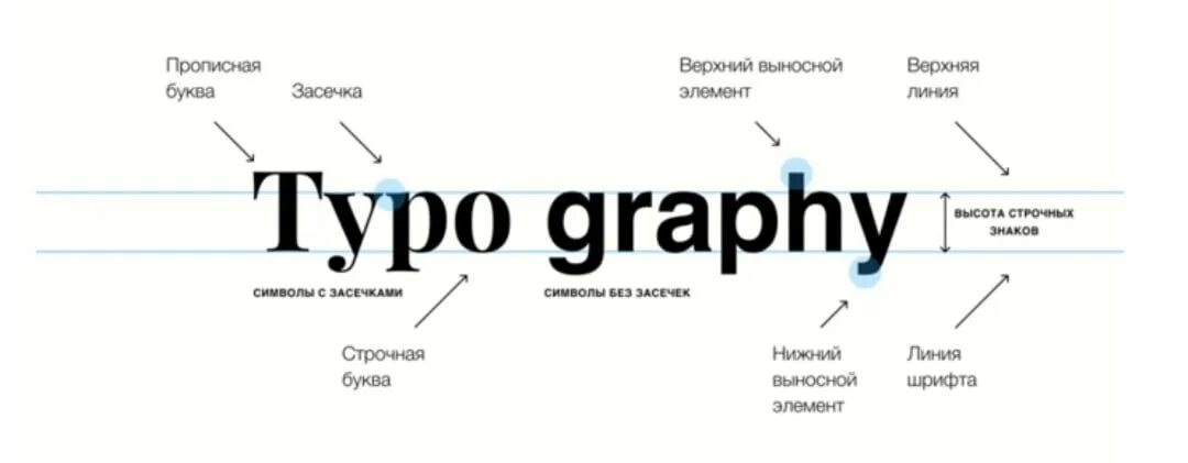 Анатомия шрифта. Термины в типографике. Анатомия шрифта и элементы. Шрифты в типографике.