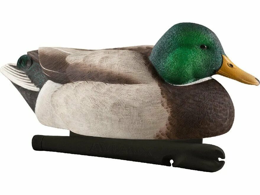 Авиан х чучела уток. Topflight specklebelly floating goose decoys. Авиан х чучела уток. Утиные чучела. Чучела х.