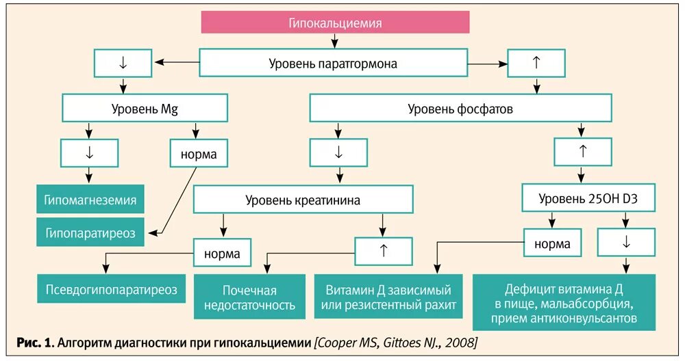 Механизм развития судорожного синдрома при гипокальциемии. Клинические симптомы гипокальциемия. Алгоритм диагностики гипокальциемии. Гипопаратиреоз клинико лабораторные проявления.