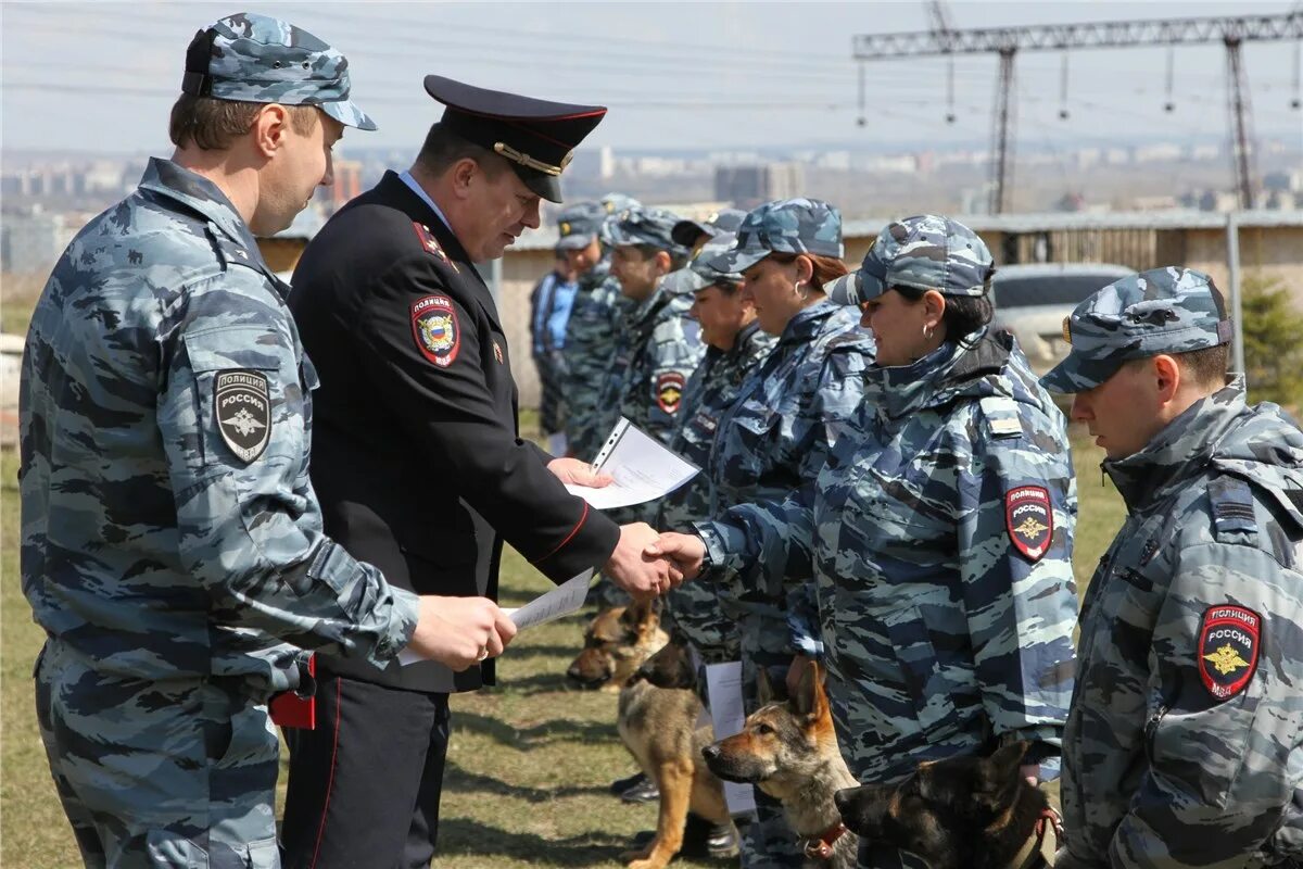 Кинологическая служба мчс. Кинология красноярск. Кинолог красноярск. Кинология красноярск. Встреча с кинологом.