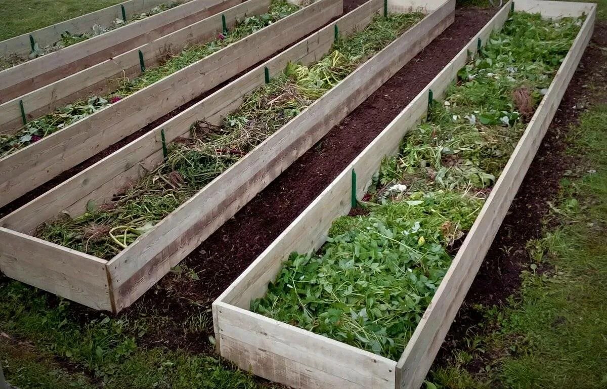 Теплые грядки своими руками пошаговое изготовление. Теплые грядки. Высокие грядки. Грядки своими руками. Высокие теплые грядки.