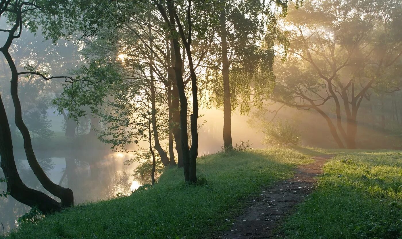 Ранним утром уходили. Природа. Профессиональные пейзажи. Природа раннее утро. Художественная фотография пейзаж.